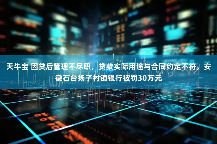 天牛宝 因贷后管理不尽职，贷款实际用途与合同约定不符，安徽石台扬子村镇银行被罚30万元